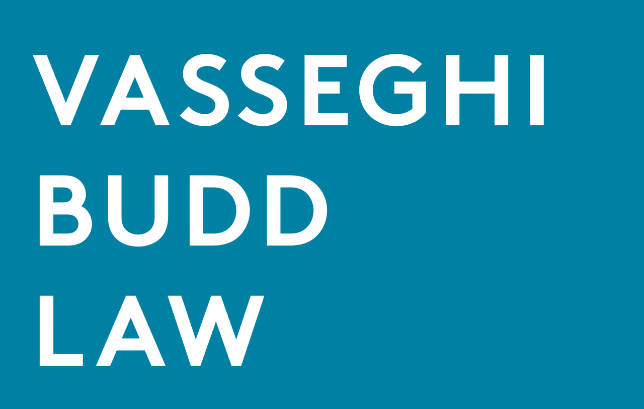 Roya Vasseghi with Vasseghi-Budd Law – Interview